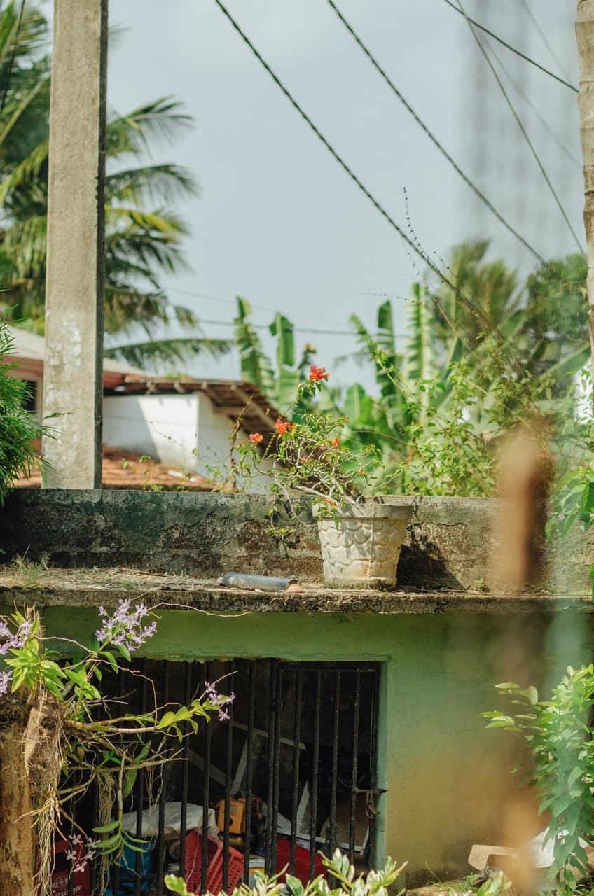 Превью Sri Lanka 2022